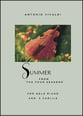 'Summer' from Vivaldi's Four Seasons - Solo Piano piano sheet music cover